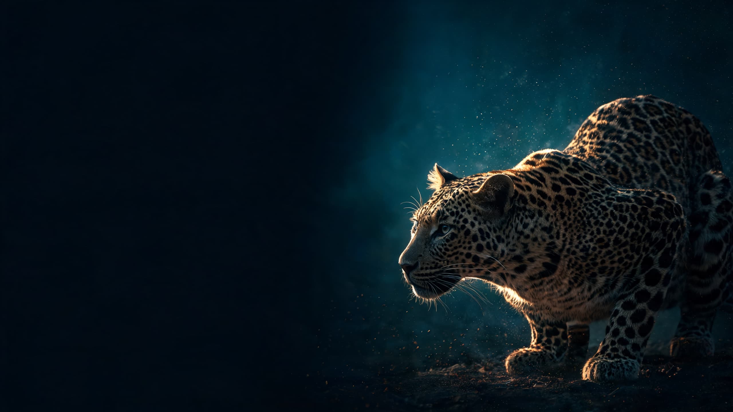 Leopardo — símbolo de precisão e inteligência da Pardus